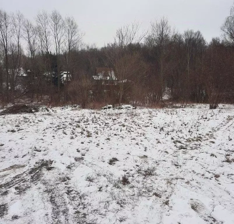 Участок в Московская область, Ступино городской округ, д. Колдино ул. ... - Фото 1