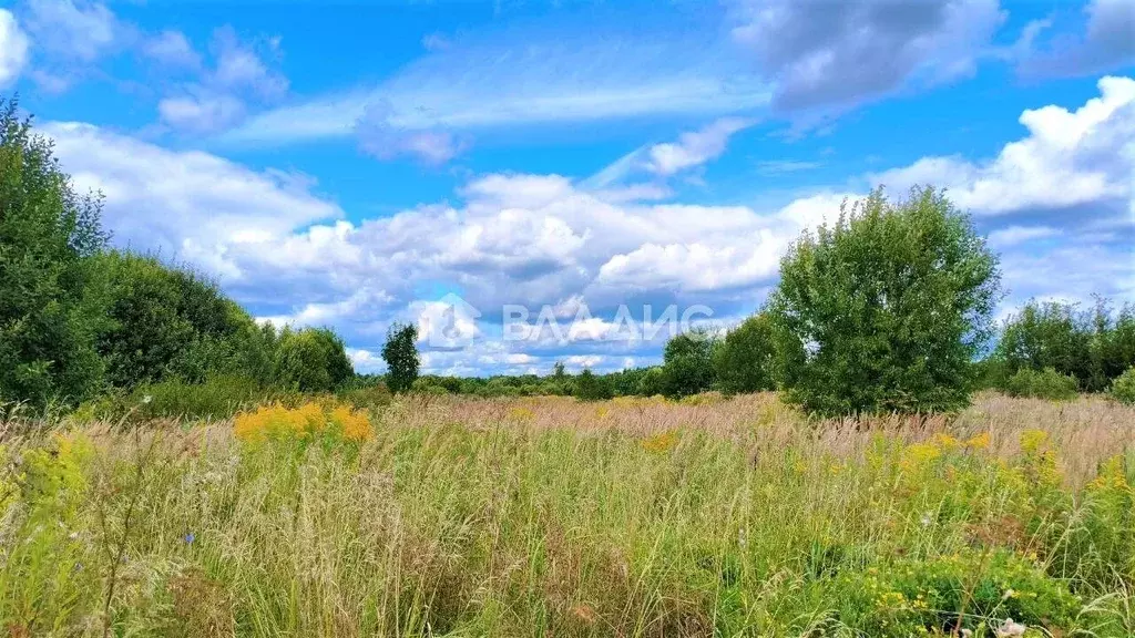 Участок в Владимирская область, Судогодский район, пос. Муромцево ул. ... - Фото 1