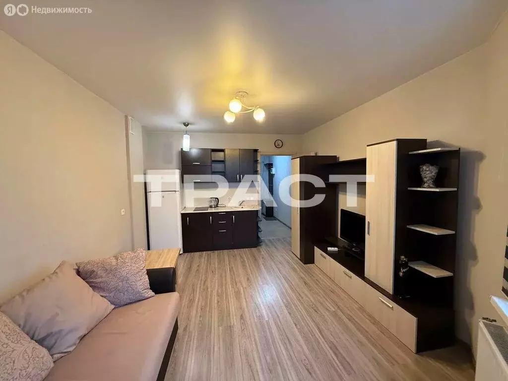 1-комнатная квартира: Воронеж, улица Артамонова, 4Д (24.5 м) - Фото 1