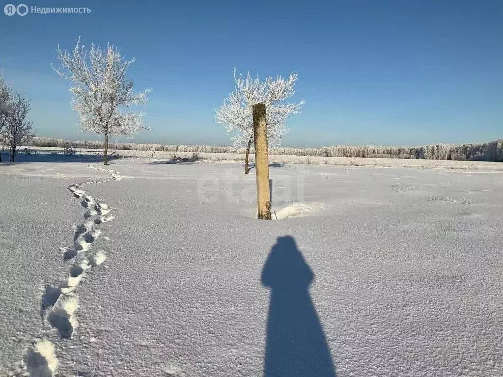 Участок в Ишимский район, деревня Малиновка (15 м) - Фото 1