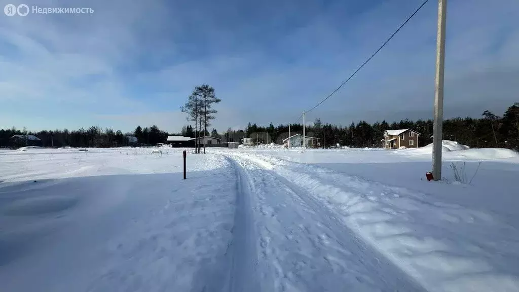 Участок в Ленинградская область, Гатчинский муниципальный округ, ... - Фото 1