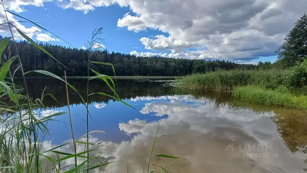 Участок в Ленинградская область, Выборгский район, Каменногорское ... - Фото 1