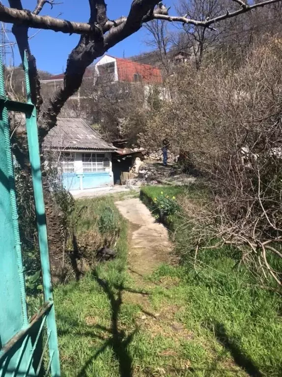 Участок в Крым, Ялта муниципальный округ, Гаспра пгт пер. Совхозный ... - Фото 1