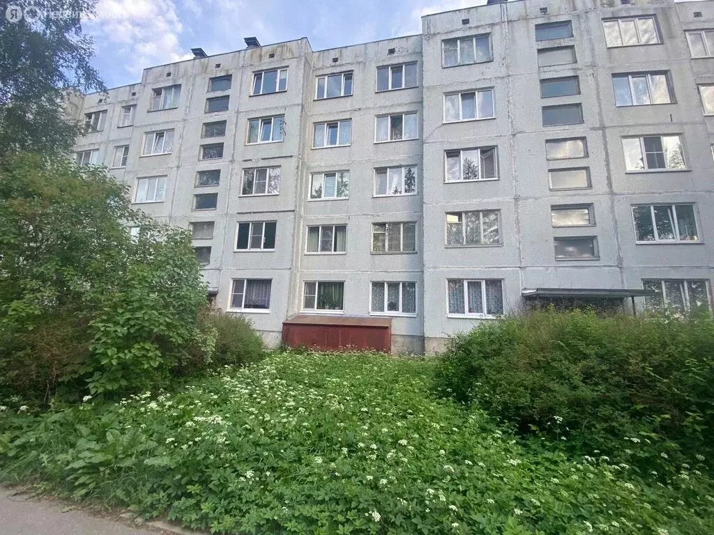 2-комнатная квартира: деревня Сяськелево, Центральная улица, 12 (53 м) - Фото 1