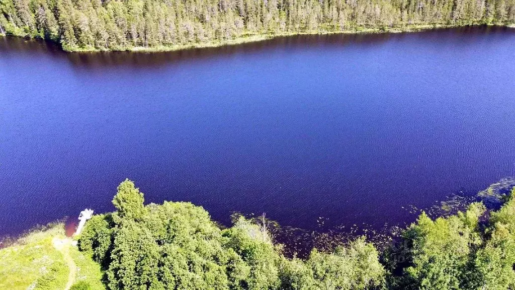 Участок в Карелия, Питкярантский муниципальный округ, д. Орусъярви  ... - Фото 1
