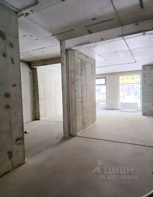 Помещение свободного назначения в Санкт-Петербург пос. Шушары, ул. ... - Фото 1