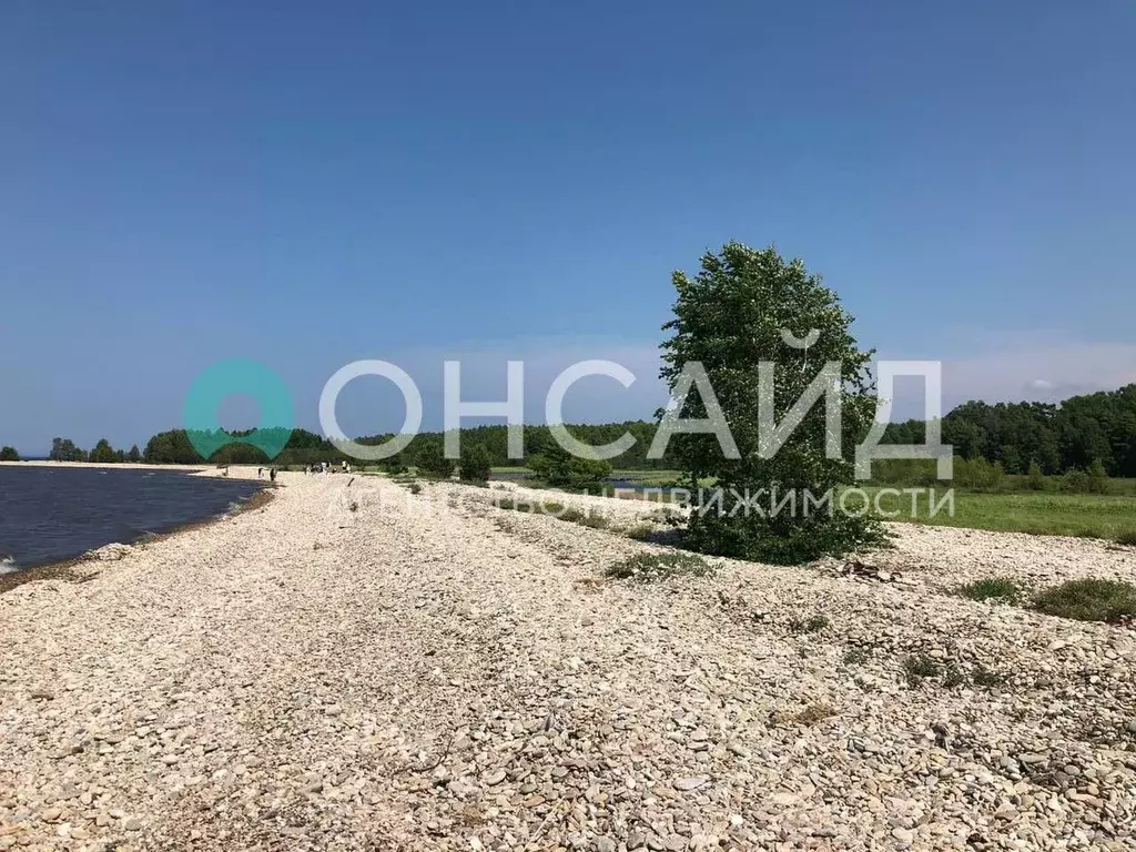 Участок в Бурятия, Кабанский район, с. Сухая  (6.0 га.) - Фото 1