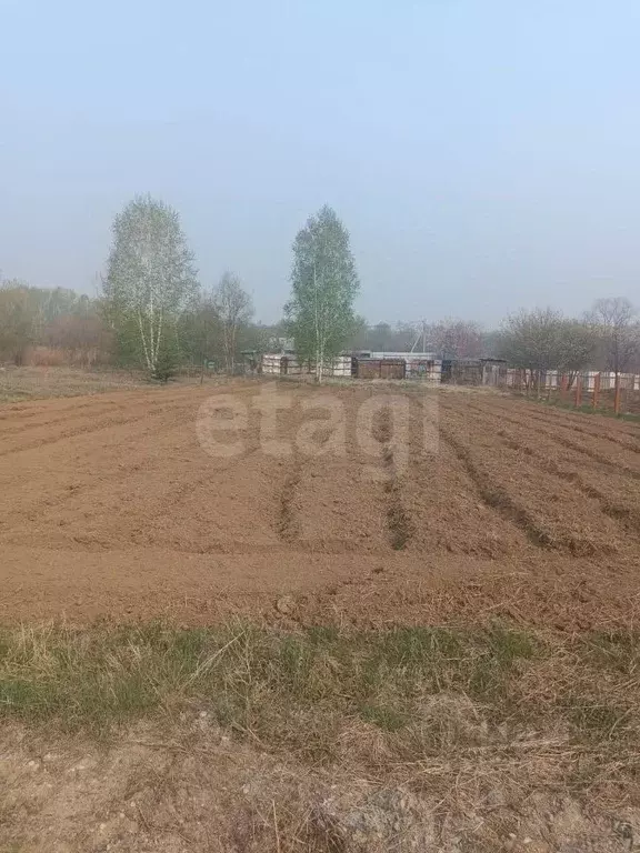 Участок в Амурская область, Благовещенский район, Медовая тер. проезд ... - Фото 1