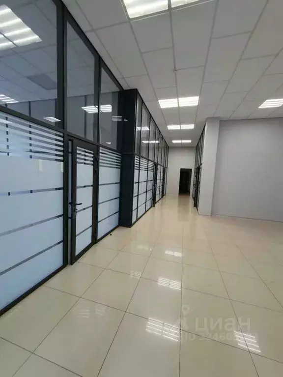 Офис в Краснодарский край, Краснодар ул. Имени Дзержинского, 33 (297 ... - Фото 1