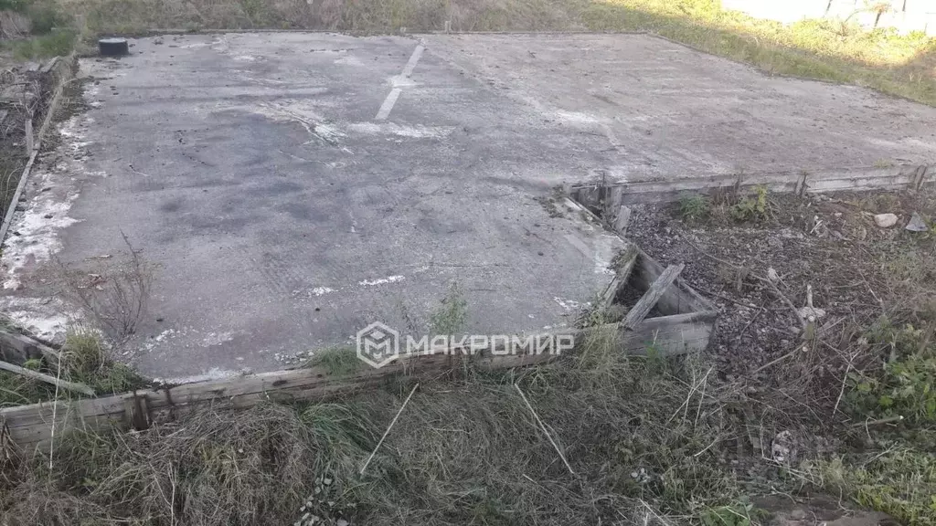 Участок в Ленинградская область, Сланцевский район, Старопольское ... - Фото 2