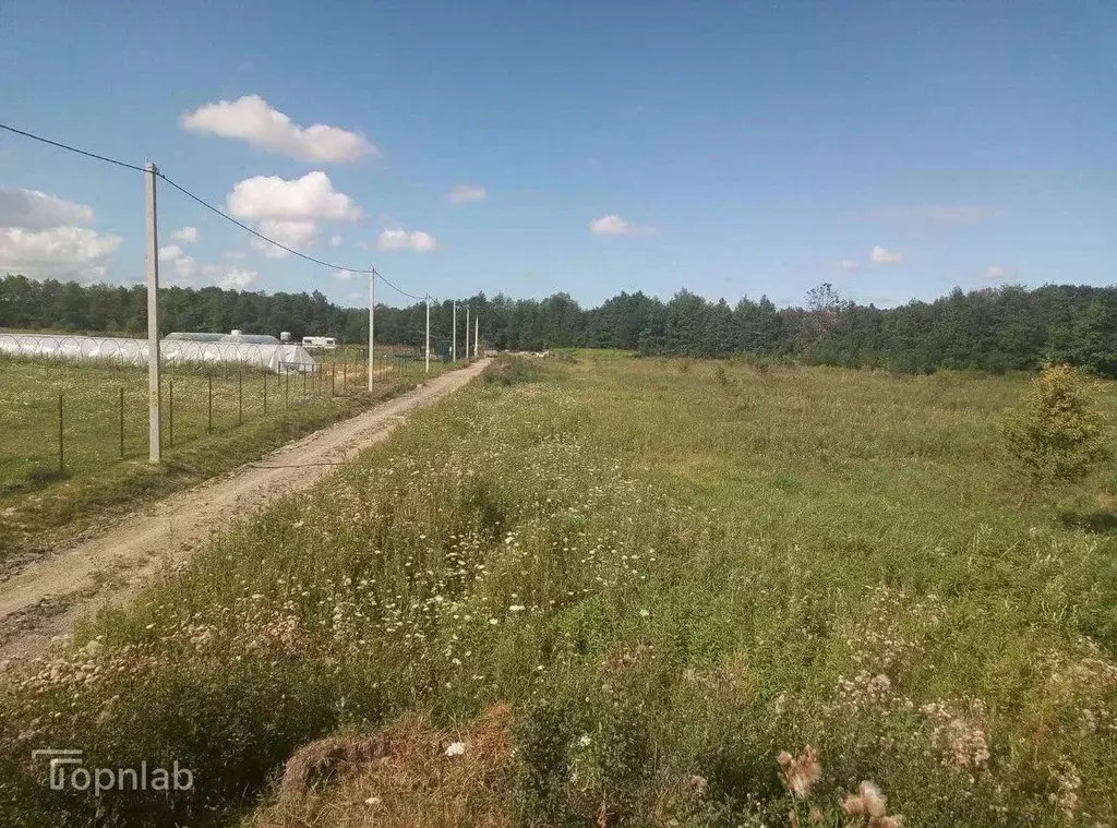 Участок в Калининградская область, Гурьевский муниципальный округ, ... - Фото 2