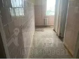 Помещение свободного назначения в Татарстан, Набережные Челны ... - Фото 2