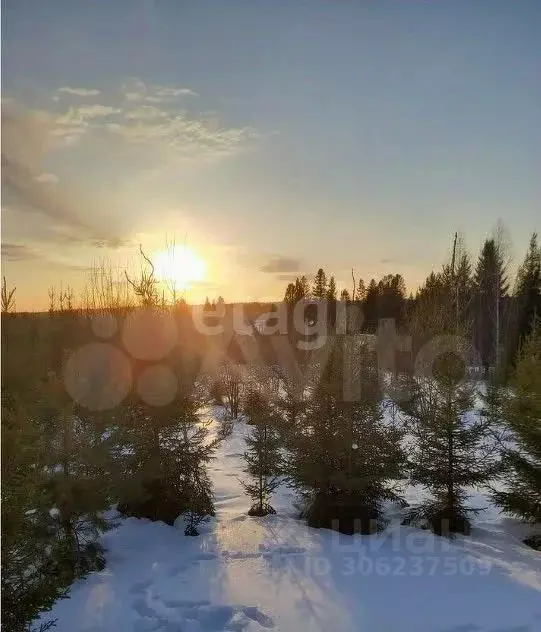 Участок в Пермский край, д. Канабеково ул. Уральская (9.4 сот.) - Фото 1