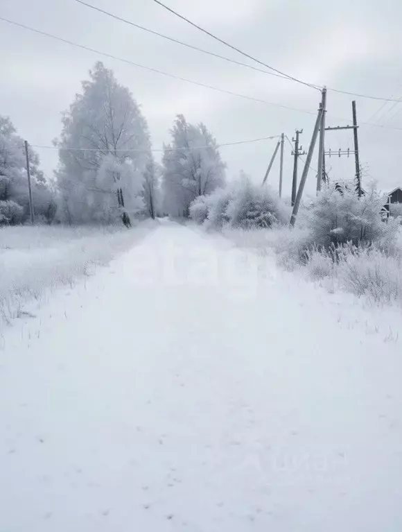 Дом в Тульская область, Ясногорский район, Ревякинское с/пос, с. ... - Фото 2