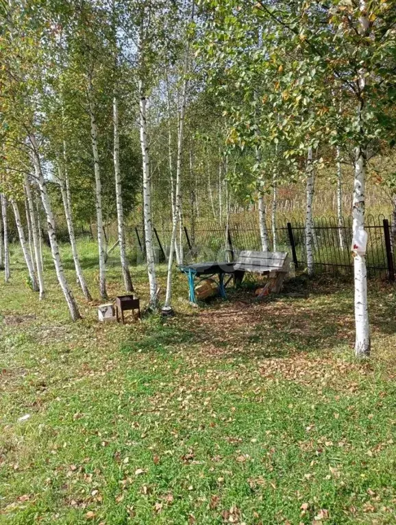 Участок в Новосибирская область, Новосибирский район, Барышевский ... - Фото 2