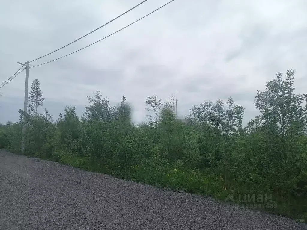 Участок в Московская область, Чехов муниципальный округ, д. Манушкино  ... - Фото 2