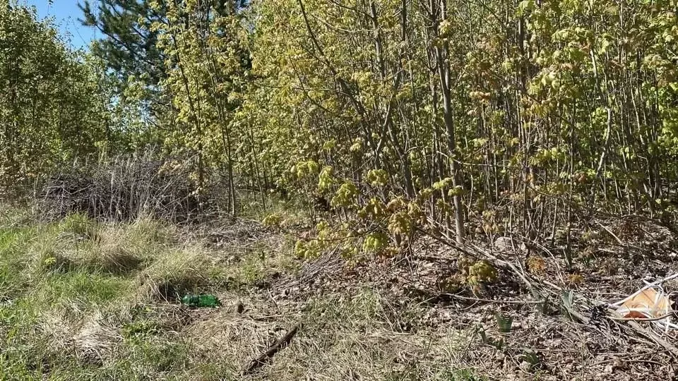 Участок в Московская область, Кашира городской округ, пос. Зендиково, ... - Фото 0