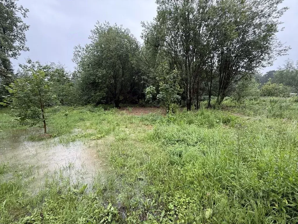 Участок в Московская область, Одинцовский городской округ, пос. ... - Фото 1