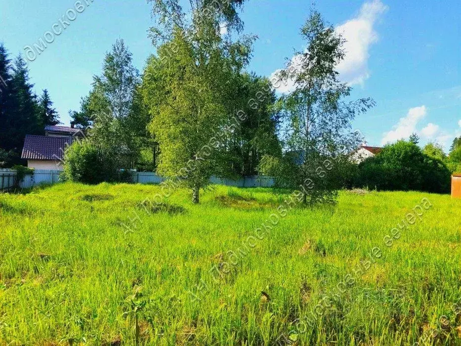 Участок в Московская область, Солнечногорск городской округ, Лесное ... - Фото 1