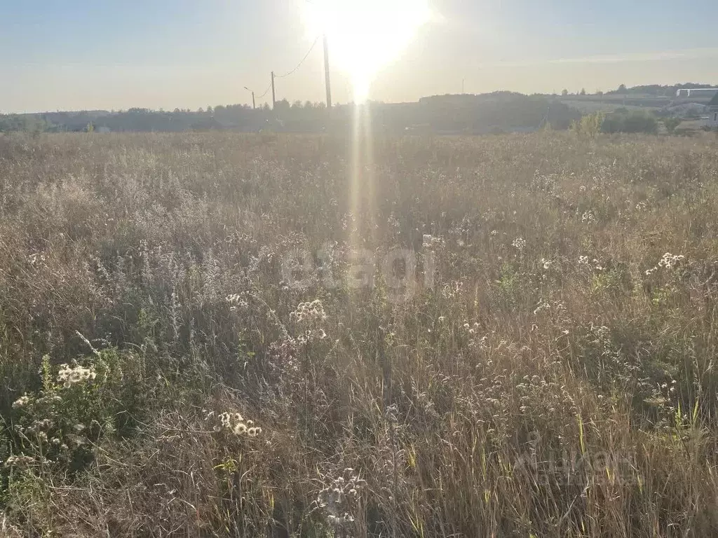 Участок в Белгородская область, Белгородский район, Дубовское с/пос, ... - Фото 2