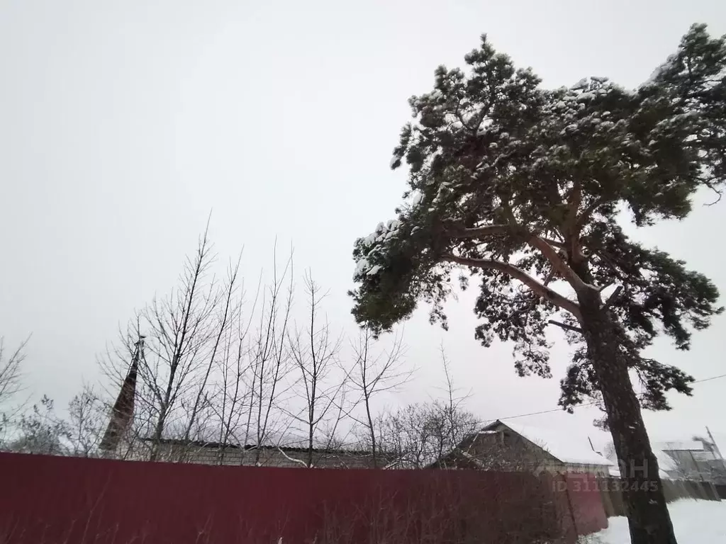 Дом в Брянская область, Жуковка ул. Карла Маркса (56 м) - Фото 1