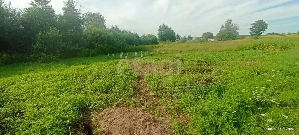 Участок в Калининградская область, Зеленоградский муниципальный округ, ... - Фото 1