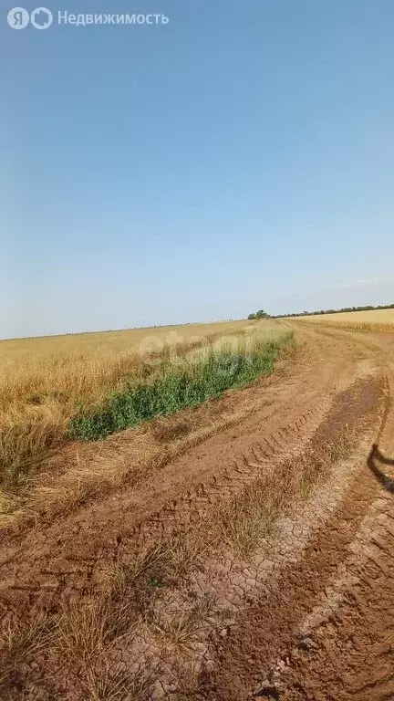 Участок в село Веселовка, Новая улица (684 м) - Фото 0