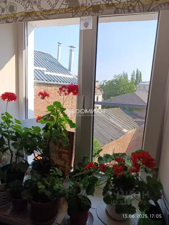 2-к кв. Ростовская область, Новочеркасск просп. Ермака (28.6 м) - Фото 1