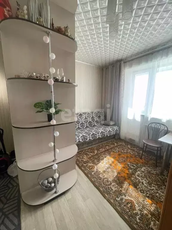 Студия Амурская область, Благовещенский район, с. Чигири ул. Утренняя, ... - Фото 1