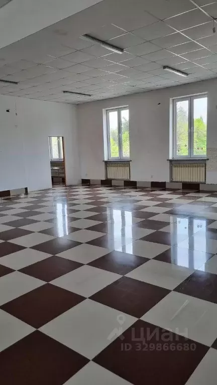 Помещение свободного назначения в Северная Осетия, Владикавказ Дарьял ... - Фото 1