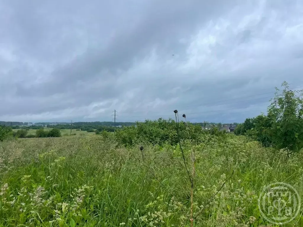 Участок в Ленинградская область, Ломоносовский район, д. Низино  (4.0 ... - Фото 1