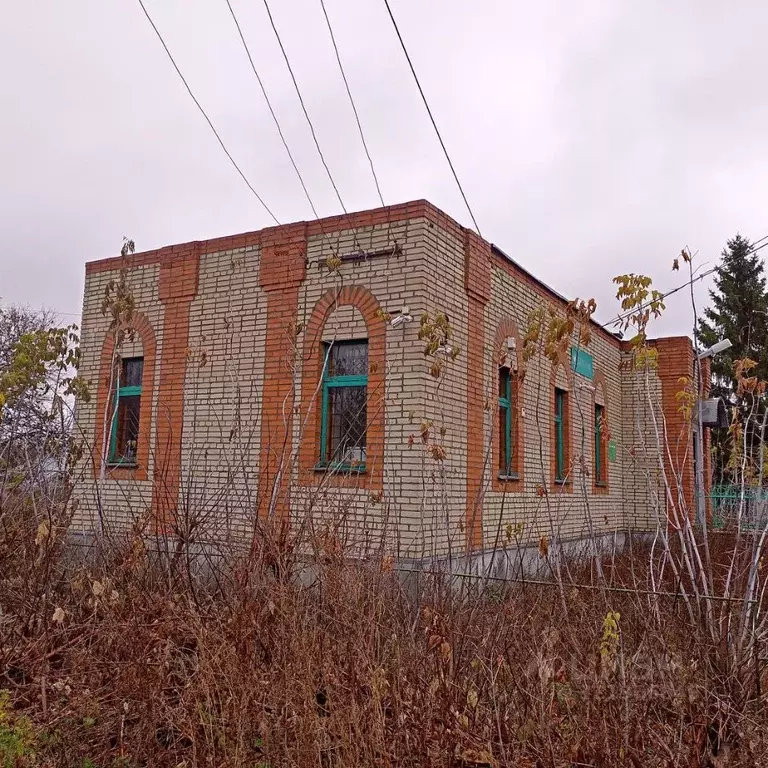 Помещение свободного назначения в Пензенская область, Пачелмский ... - Фото 2