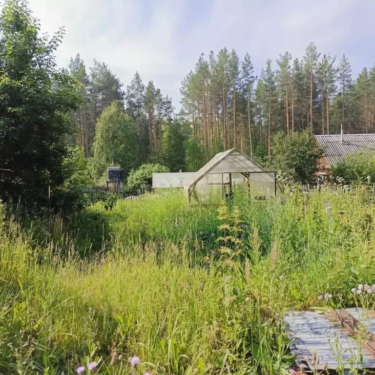 участок в свердловская область, нижний тагил белая ватиха кс, (5.7 . - Фото 0