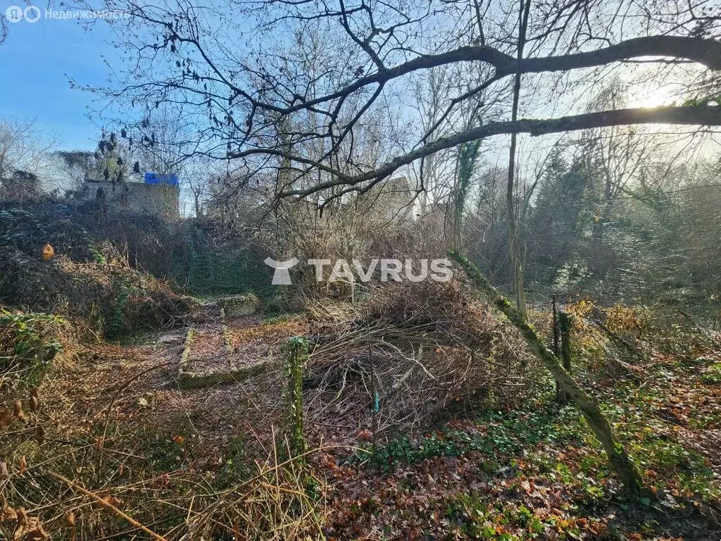 Участок в Симферопольский район, Перовское сельское поселение, село ... - Фото 2
