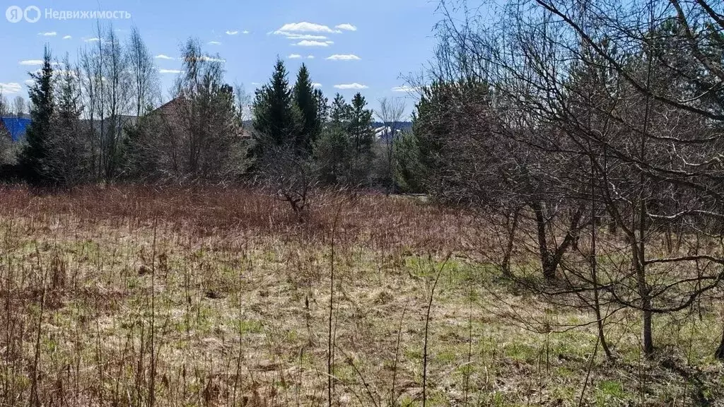 Участок в деревня Светлое, Садовая улица, 44 (29 м) - Фото 1