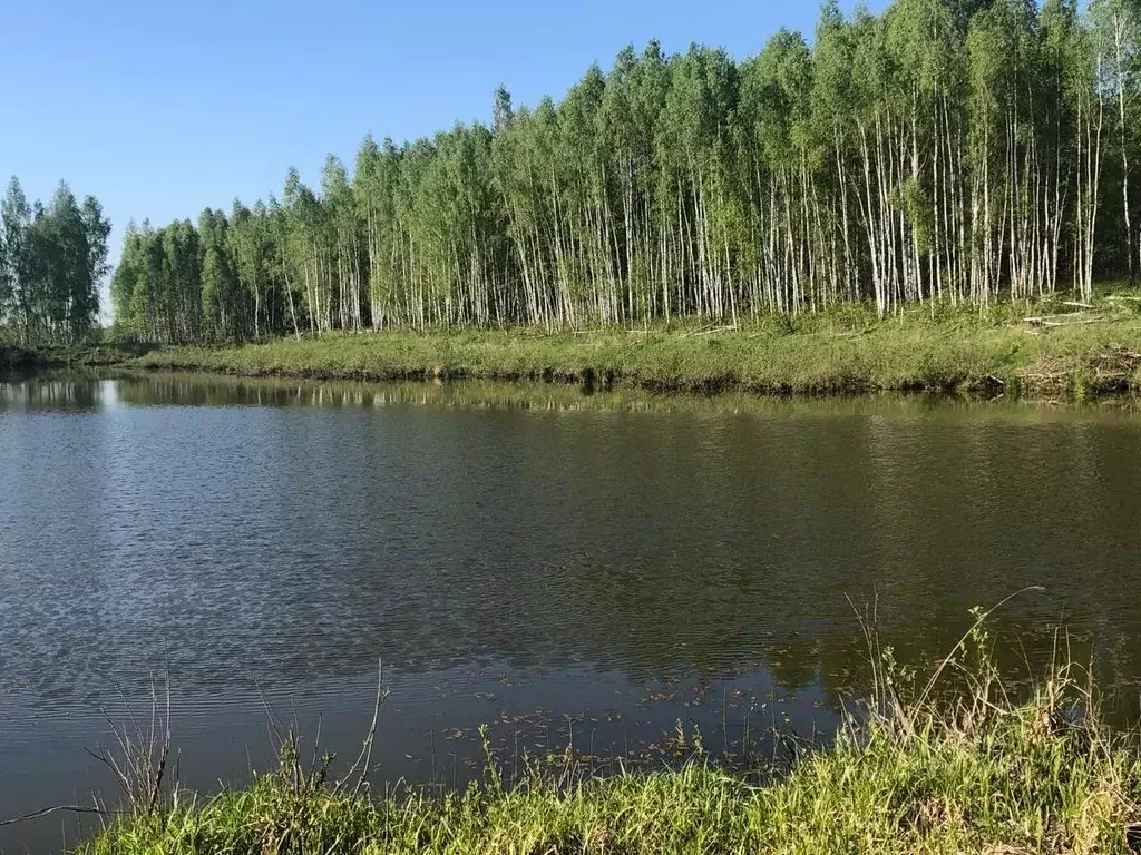 Участок в Московская область, Кашира городской округ, Ромашка СНТ 44 ... - Фото 1