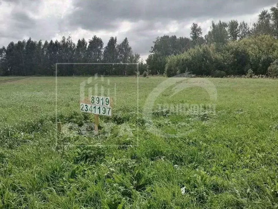 Участок в Воронежская область, Верхнехавский район, с. Большая ... - Фото 1