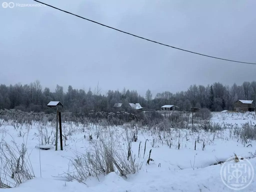 Участок в Скребловское сельское поселение, деревня Домкино (25 м) - Фото 1