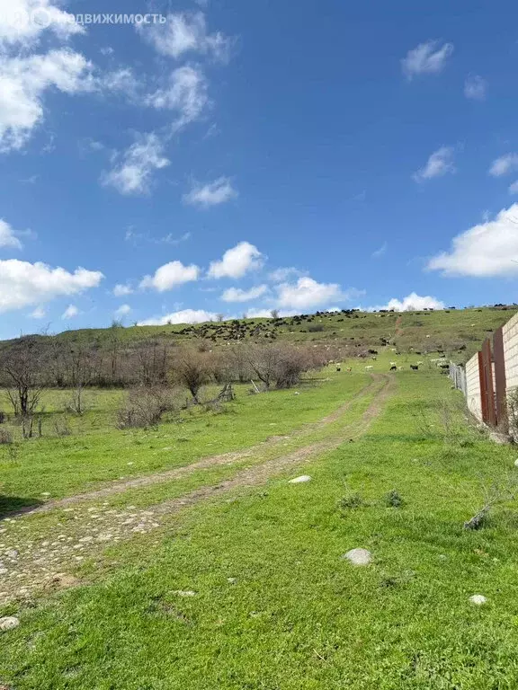 Участок в Баксанский район, сельское поселение Псычох, село Псычох (16 ... - Фото 1