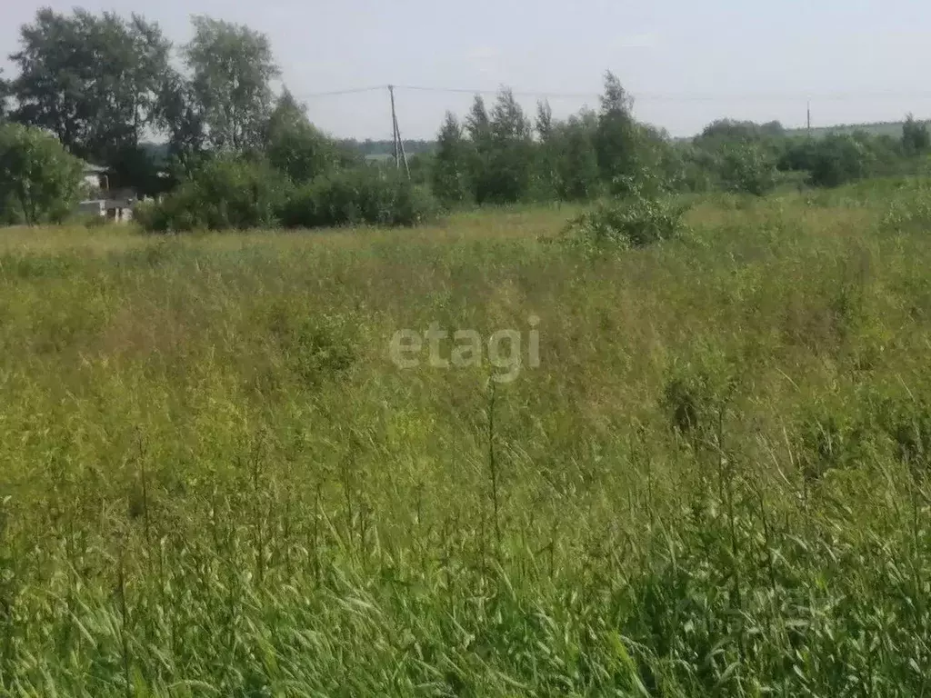 участок в свердловская область, горноуральский городской округ, с. . - Фото 0