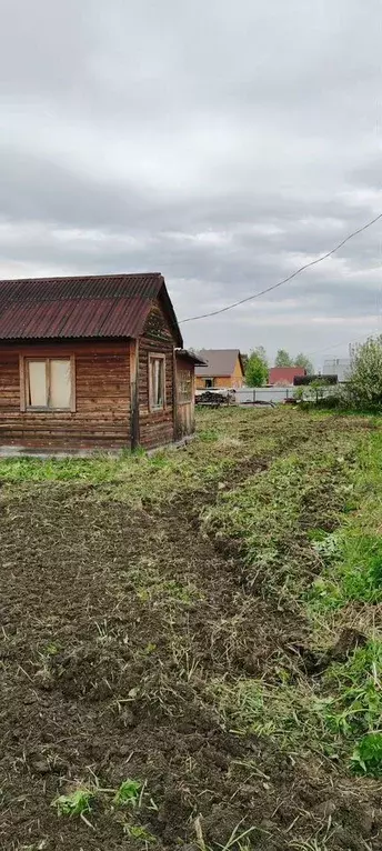 Дом в Новосибирская область, Колыванский район, Надежда СТ ул. 17-я ... - Фото 1