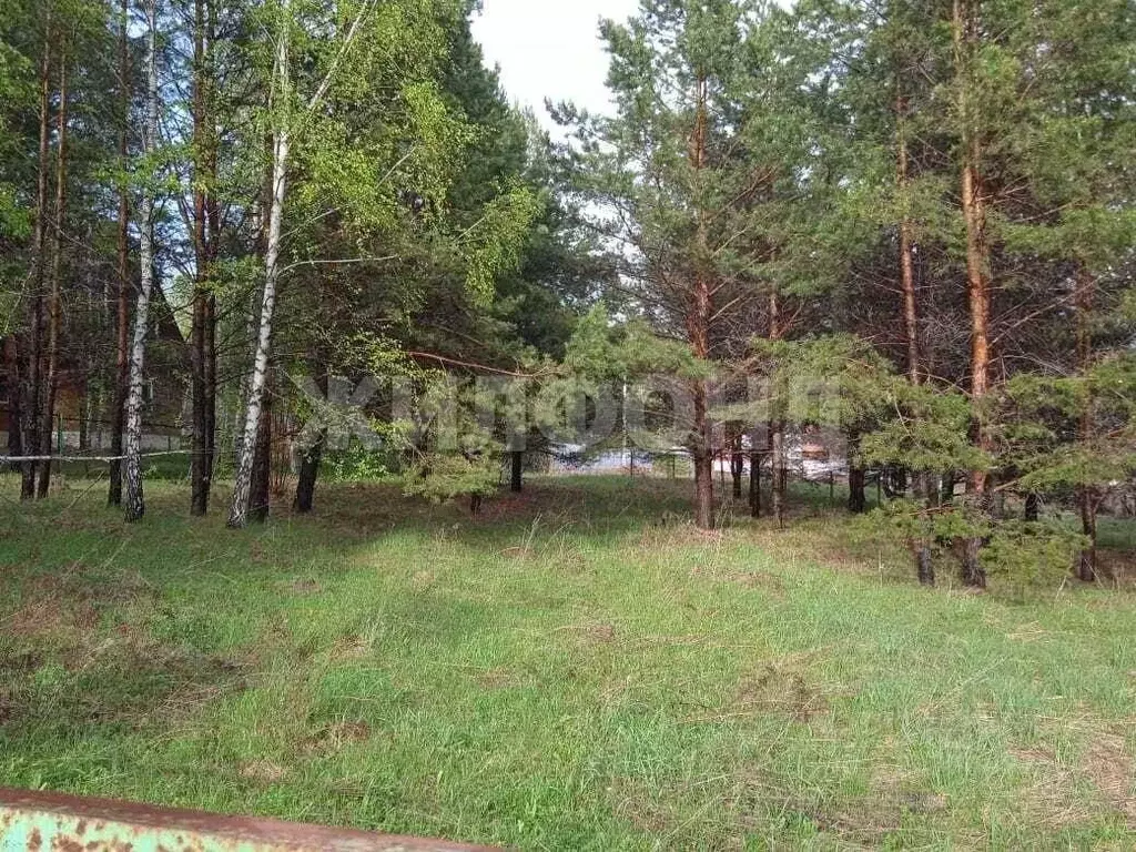 Участок в Новосибирская область, Искитимский район, с. Морозово ... - Фото 0