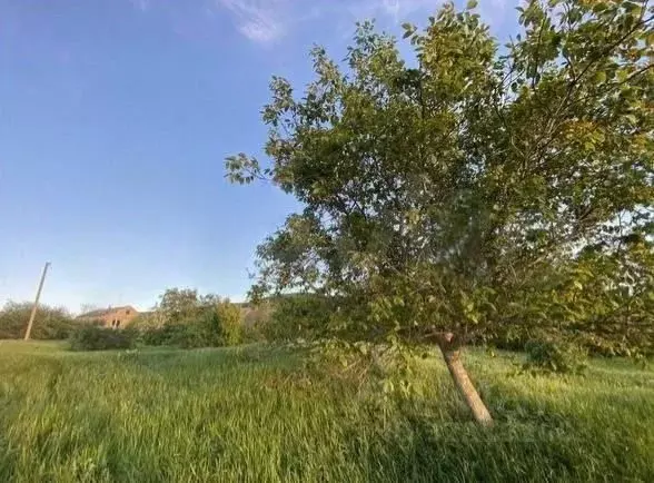 Участок в Крым, Белогорский район, Зеленогорское с/пос, с. Яковлевка ... - Фото 2