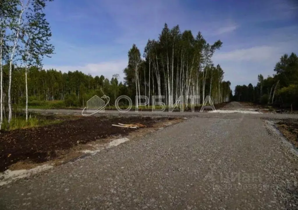 Участок в Тюменская область, Тюменский район Салаирский тракт, 14-й км ... - Фото 2