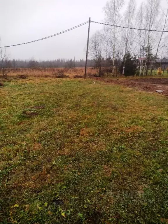 Участок в Ленинградская область, Гатчинский муниципальный округ, д. ... - Фото 1