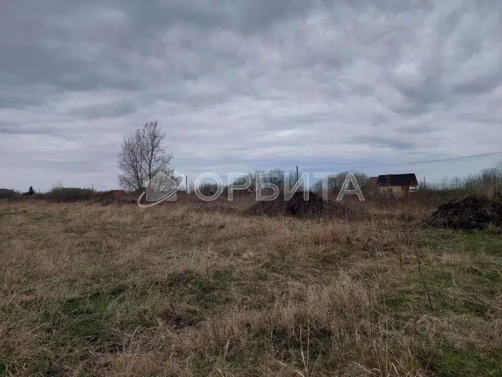 Участок в Тюменская область, Нижнетавдинский район, Сочинские СНТ  ... - Фото 2