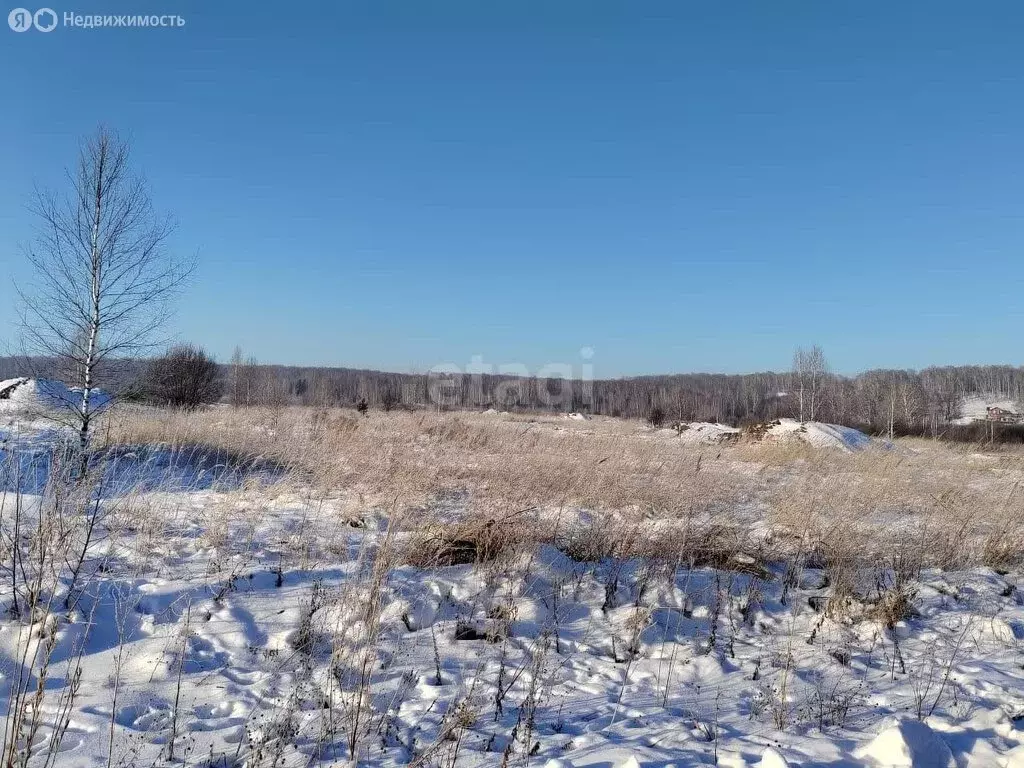 Участок в Быстровский сельсовет (8.2 м) - Фото 0