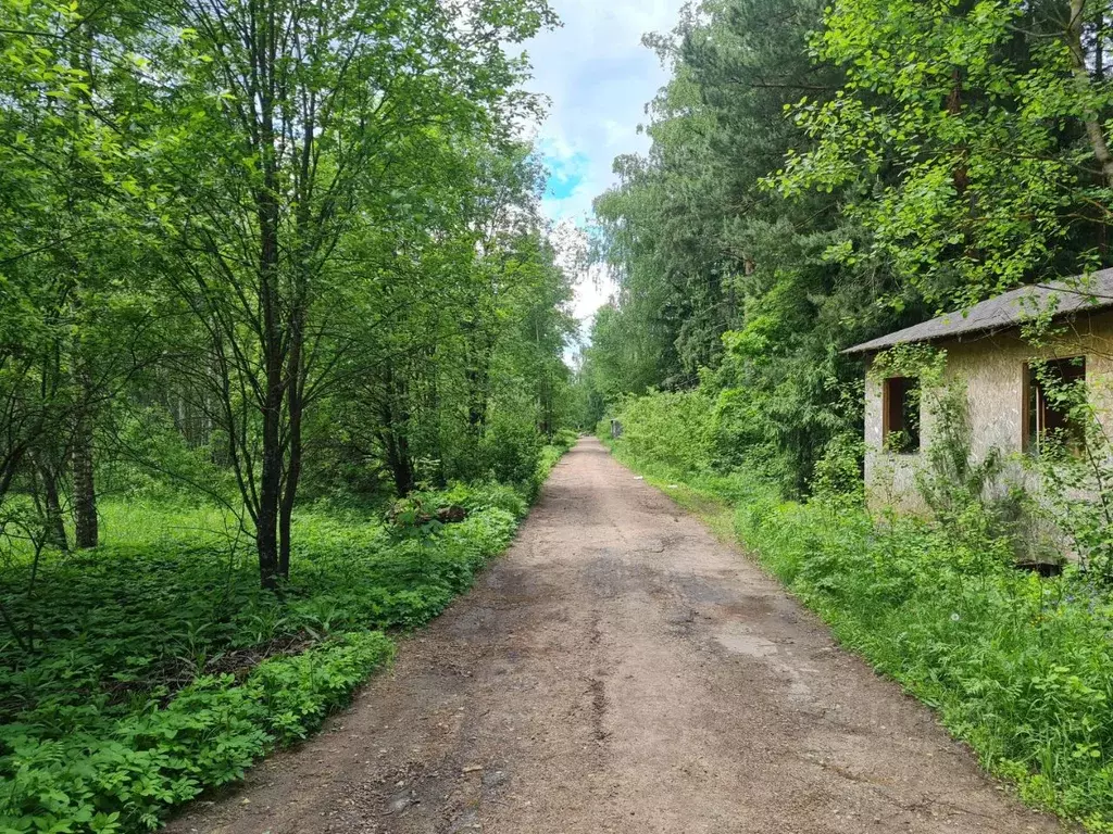 Участок в Московская область, Красногорск городской округ, с. ... - Фото 2