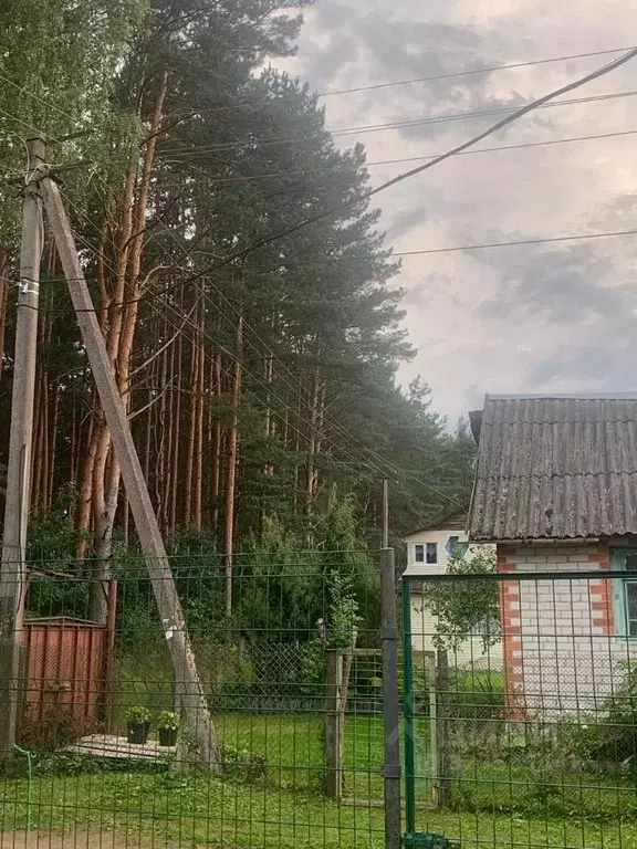 Дом в Псковская область, Псковский район, Тямшанская волость, ... - Фото 2