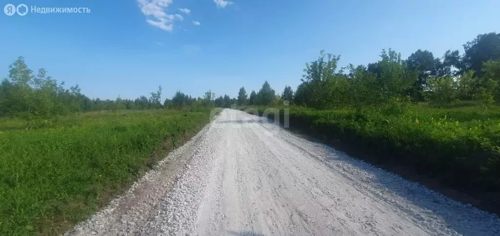 Участок в Искитимский район, Степной сельсовет, посёлок Раздольный ... - Фото 0